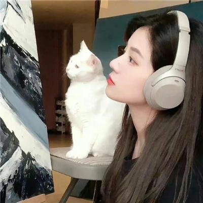 月黑风高杀人夜